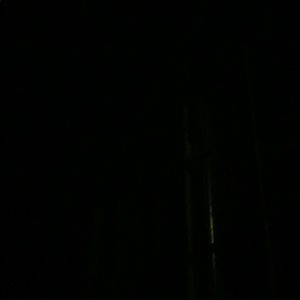 Meet your Posher, Skye